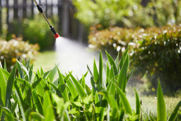 24/7 Emergency Termite Control experts in Laughlin, NV